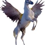 Pegasus on back legs
