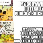 This is Fine, This is Not Fine | MY BODY WHEN I LITERALLY PUNCH A BRICK WALL; MY BODY WHEN I LIGHTLY SCRATCH MYSELF WITH MY NON-EXISTENT FINGERNAILS | image tagged in this is fine this is not fine | made w/ Imgflip meme maker