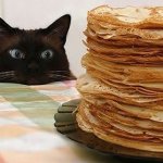 Pancake Cat meme