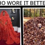 Who wore it better? | image tagged in who wore it better | made w/ Imgflip meme maker