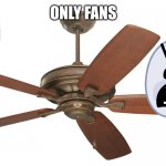 Ceiling fan | ONLY FANS | image tagged in ceiling fan | made w/ Imgflip meme maker