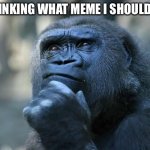 Deep Thoughts | ME THINKING WHAT MEME I SHOULD MAKE | image tagged in deep thoughts | made w/ Imgflip meme maker