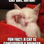 I won't fail you commander | HAPPY NATIONAL CAT DAY, JAPAN! FUN FACT: A CAT IS CONSIDERED A BRINGER OF LUCK IN MANY NATIONS. | image tagged in memes,kitten,luck | made w/ Imgflip meme maker