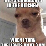 Chihuahua Meme Face | THE COCKROACHES IN THE KITCHEN; WHEN I TURN THE LIGHTS ON AT 3 AM | image tagged in chihuahua meme face | made w/ Imgflip meme maker