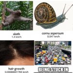 Slowest things | BEING STUCK IN VERY HEAVY TRAFFIC | image tagged in slowest things,memes | made w/ Imgflip meme maker