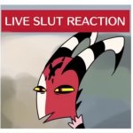 Live Slut Reaction