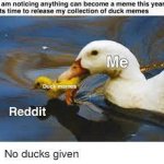 Duck:) meme