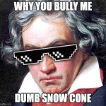 mlg beethoven | WHY YOU BULLY ME; DUMB SNOW CONE | image tagged in mlg beethoven | made w/ Imgflip meme maker