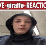 live -giraffe- reaction