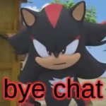 bye chat shadow the hedgehog GIF Template