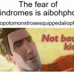 The grand sequel to a past meme of mine! | The fear of palindromes is aibohphobia; Hippopotomonstrosesquippedaliophobia: | image tagged in not bad kid | made w/ Imgflip meme maker