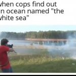 when cops find out an ocean is white meme