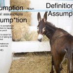 definitions of assumption