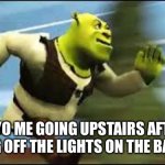 Shrek Running | 7 Y/O ME GOING UPSTAIRS AFTER TURNING OFF THE LIGHTS ON THE BASEMENT | image tagged in shrek running | made w/ Imgflip meme maker