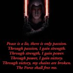 Dark Rey, Sith Code | Peace is a lie, there is only passion.
Through passion, I gain strength.
Through strength, I gain power.
Through power, I gain victory.
Through victory, my chains are broken.
The Force shall free me. | image tagged in darkrey | made w/ Imgflip meme maker