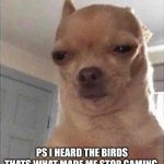 Chihuahua Meme Face | PS I HEARD THE BIRDS THATS WHAT MADE ME STOP GAMING | image tagged in chihuahua meme face | made w/ Imgflip meme maker