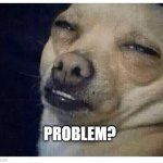 PROBLEM? | PROBLEM? | image tagged in chihuahua | made w/ Imgflip meme maker