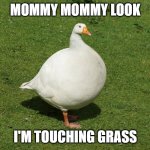 I have a weird affection toward honkus | MOMMY MOMMY LOOK; I'M TOUCHING GRASS | image tagged in honkus | made w/ Imgflip meme maker