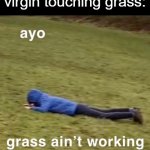 Touching Grass | Rare picture of a virgin touching grass: | image tagged in ayo grass ain't working,memes,grass,touch grass | made w/ Imgflip meme maker