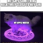 apple watches be like | ME: SAYS SOMETHING RELATIVELY CLOSE TO HEY SIRI; MY APPLE WATCH | image tagged in who has summoned the almighty one,memes,cat | made w/ Imgflip meme maker