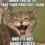 Screaming cat | WHEN YOU GO TO TAKE YOUR PROSTATE  EXAM; AND ITS NOT ABOUT STATES | image tagged in screaming cat | made w/ Imgflip meme maker