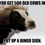 Daily Bad Dad Jokes February 23 2023 | HOW DO YOU GET 500 OLD COWS IN A BARN? PUT UP A BINGO SIGN. | image tagged in fabio cow | made w/ Imgflip meme maker