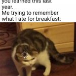 True | Teacher: C'mon guys, 
you learned this last
year.

Me trying to remember
what I ate for breakfast: | image tagged in loading cat | made w/ Imgflip meme maker