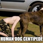 Human Dog Centipede | HUMAN DOG CENTIPEDE | image tagged in boxer butt | made w/ Imgflip meme maker