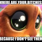 no bitches | WHERE ARE YOUR BITCHES? BECAUSE I DON'T SEE THEM | image tagged in puss stare | made w/ Imgflip meme maker