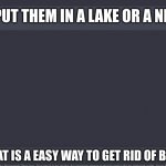 chat gpt question | PUT THEM IN A LAKE OR A NEAR POND; WHAT IS A EASY WAY TO GET RID OF BODYS | image tagged in chat gpt meme | made w/ Imgflip meme maker