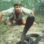 Steve irwin