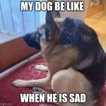 what the dog doin | MY DOG BE LIKE; WHEN HE IS SAD | image tagged in what the dog doin | made w/ Imgflip meme maker