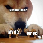 Oc shipping | ME SHIPPING OC; MY OC; MY OC | image tagged in dog now kiss,funny memes,oc,myoc | made w/ Imgflip meme maker
