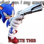 DELETE THIS | What can I say except; DELETE THIS | image tagged in sonic with a gun | made w/ Imgflip meme maker