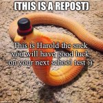 Snek | (THIS IS A REPOST); This is Harold the snek you will have good luck on your next school test :) | image tagged in dapper snek | made w/ Imgflip meme maker