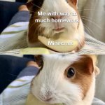 piggo