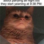 Imagine not staying up late | When your friend talks about partying all night but they start yawning at 9:38 PM: | image tagged in pathetic cat,memes,funny,true story,relatable memes,party | made w/ Imgflip meme maker