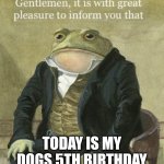 Comment happy birthday | TODAY IS MY DOGS 5TH BIRTHDAY | image tagged in colonel toad,dog,happy birthday | made w/ Imgflip meme maker