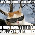 Cool Sunglasses Cat | YOU HAVE ENCOUNTERED JERRY THE CAT; YOU NOW HAVE BETTER LUCK WHEN YOU ASK OUT YOUR CRUSH | image tagged in cool sunglasses cat | made w/ Imgflip meme maker