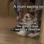 Angry Cat Being Dragged Away | A mom saying no; Spoiled kid at the grocery store wanting a candy bar | image tagged in angry cat being dragged away | made w/ Imgflip meme maker