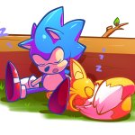 Classic Sonic & Classic Tails Sleeping