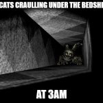 FnAF 3 | MY CATS CRAULLING UNDER THE BEDSHEETS; AT 3AM | image tagged in fnaf 3 | made w/ Imgflip meme maker
