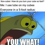 "I lube my cubes" sounds weird out of context | Non-cuber: How do you turn your cube so fast? Me: I use lube on my cubes Everyone in a 5-foot radius: YOU WHAT! | image tagged in you what,rubik's cube,rubik cube,rubiks cube | made w/ Imgflip meme maker