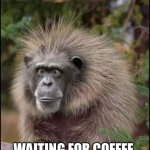 When coffee is late | WAITING FOR COFFEE | image tagged in kray kray ox,coffees,funny | made w/ Imgflip meme maker