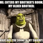 Anybody get this?? | ME: ENTERS MY BROTHER'S ROOM.
MY OLDER BROTHER: | image tagged in gifs,shrek | made w/ Imgflip video-to-gif maker