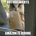 Not Hogwarts | NOT HOGWARTS; AMAZON IS HIRING | image tagged in not hogwarts | made w/ Imgflip meme maker