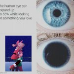 Bell x Eraser slays(Also credits to the person who made this on Wattpad) | image tagged in eye pupil expand,bellraser,bfb | made w/ Imgflip meme maker