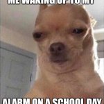 Chihuahua Meme Face | ME WAKING UP TO MY; ALARM ON A SCHOOL DAY | image tagged in chihuahua meme face | made w/ Imgflip meme maker