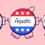 Conservative Party’s PAC for Patriotic Aquatic Clothing