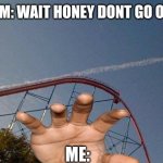 Me at the water park | MY MOM: WAIT HONEY DONT GO OFF YE.... ME: | image tagged in roller coaster chem trail | made w/ Imgflip meme maker